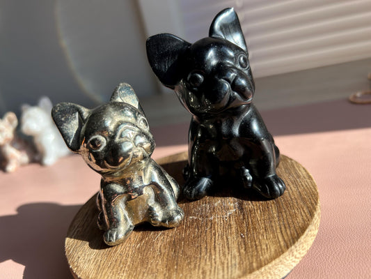 Black Obsidian “Bruno” Bulldog
